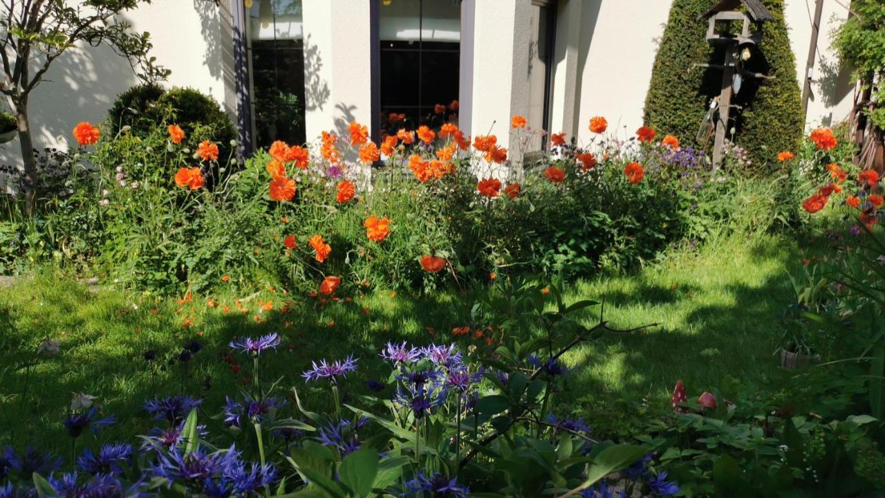 Gartenwohnung Paulsdorf 디폴디스발드 외부 사진